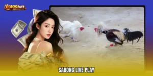 Sabong live play